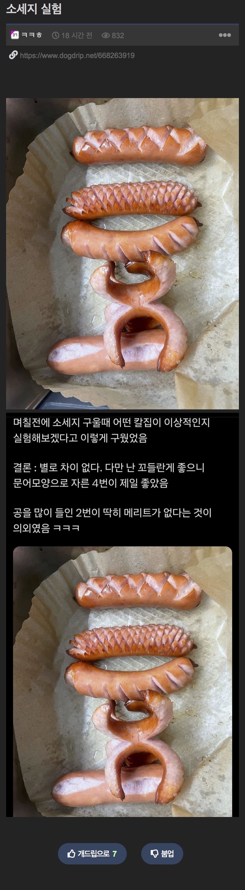 소시지 실험.jpg | 인스티즈