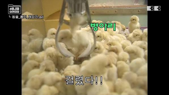 중장년층이 즐겼다는 뽑기 기계 | 인스티즈