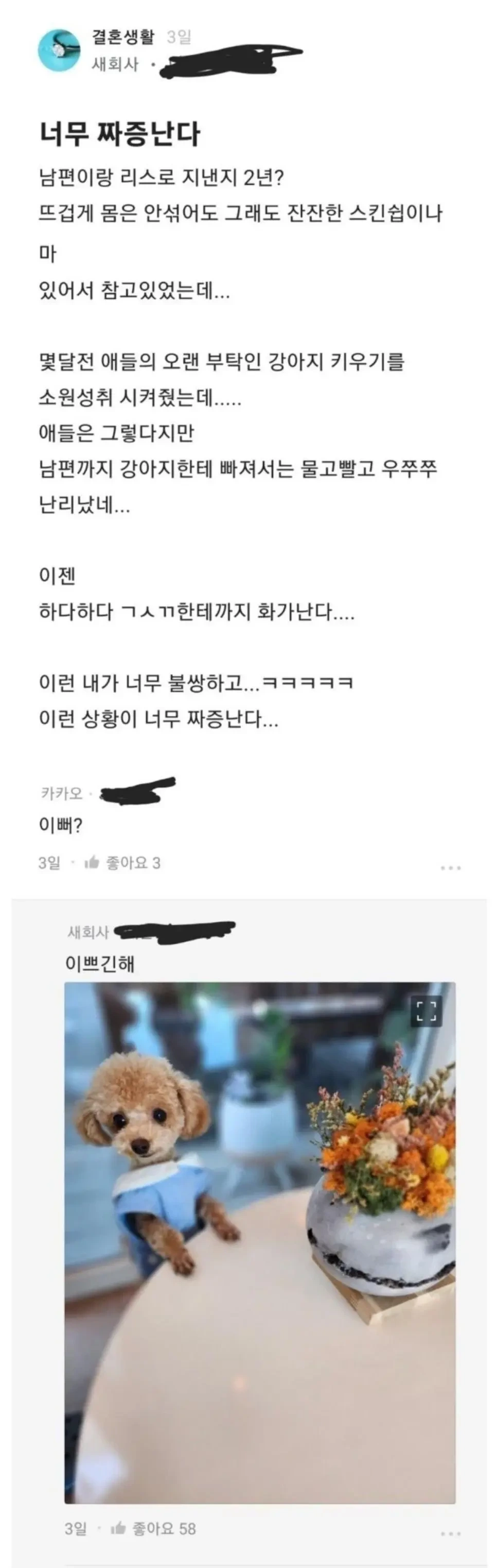 ㅅㅅ리스 2년째 너무 짜증나는데... | 인스티즈