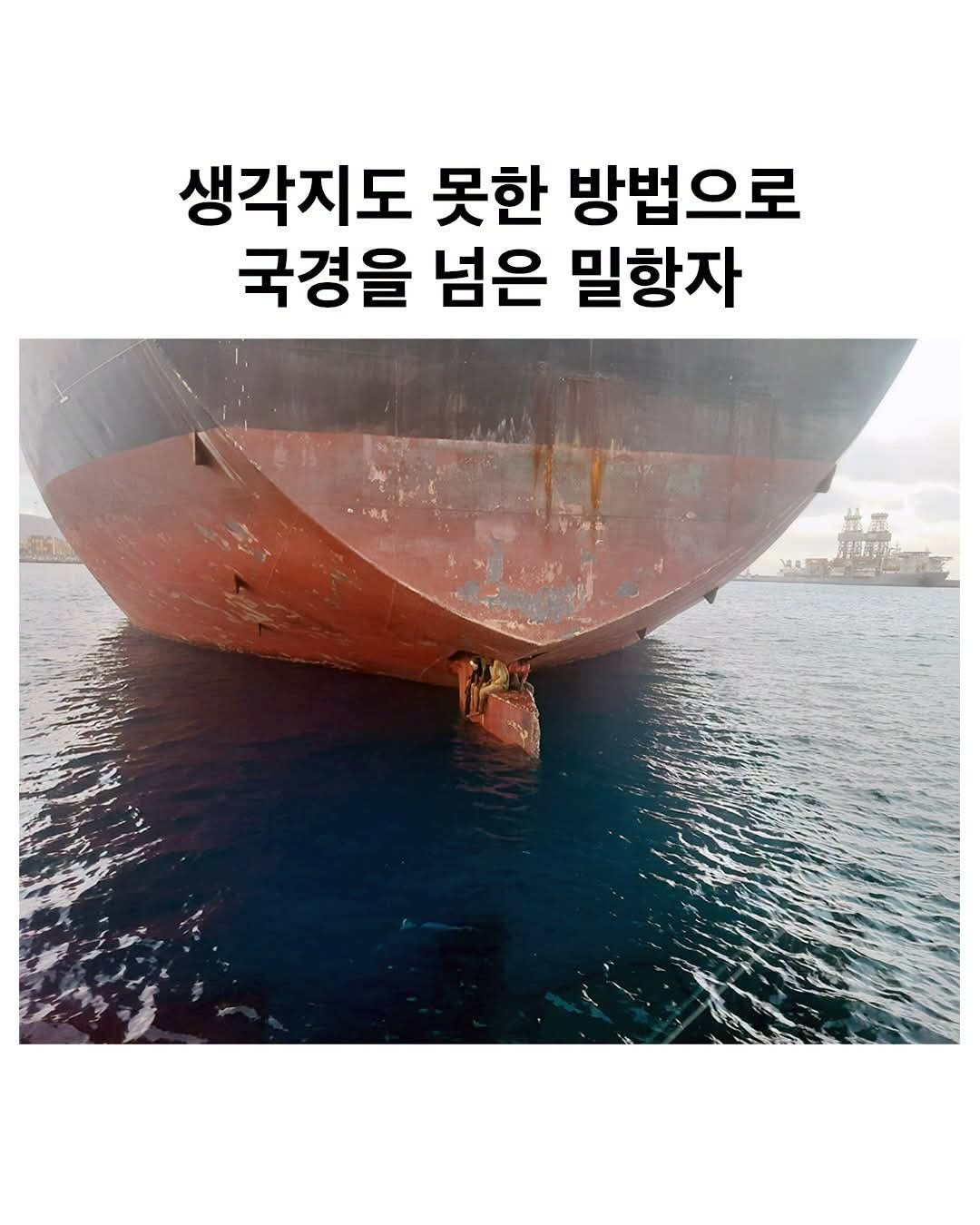 생각지도 못한 방법으로 국경을 넘은 밀항자 | 인스티즈