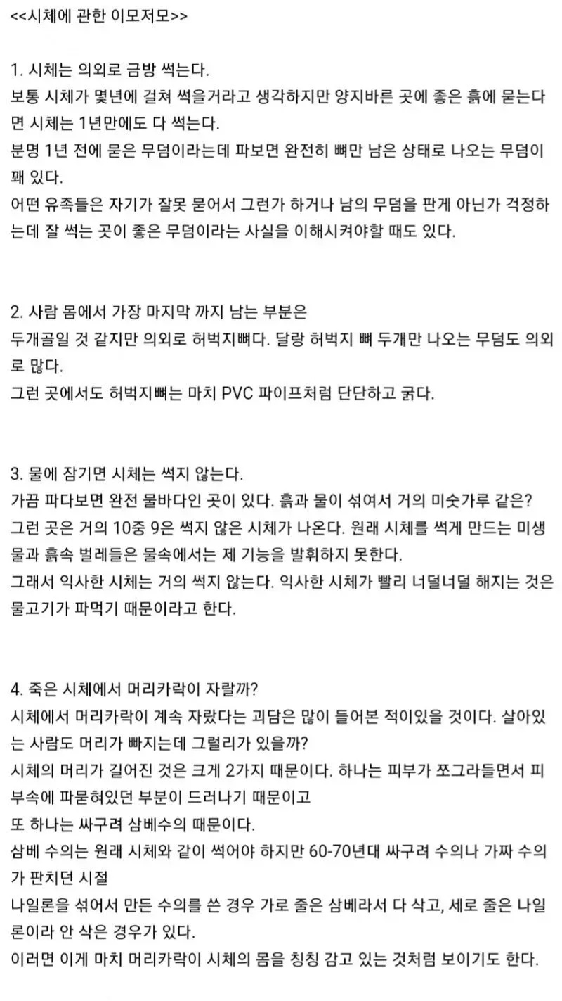 시체에 관한 TMI | 인스티즈
