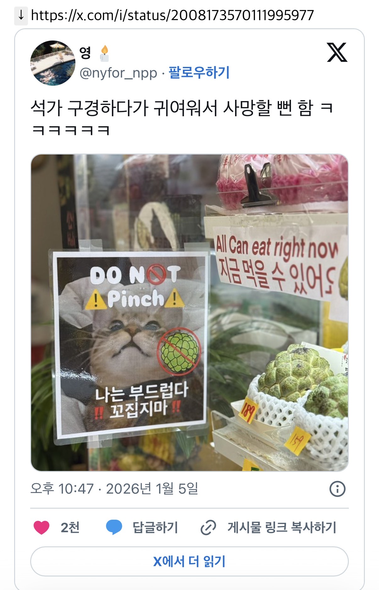귀여운 해외 가게의 한글 표지판 | 인스티즈
