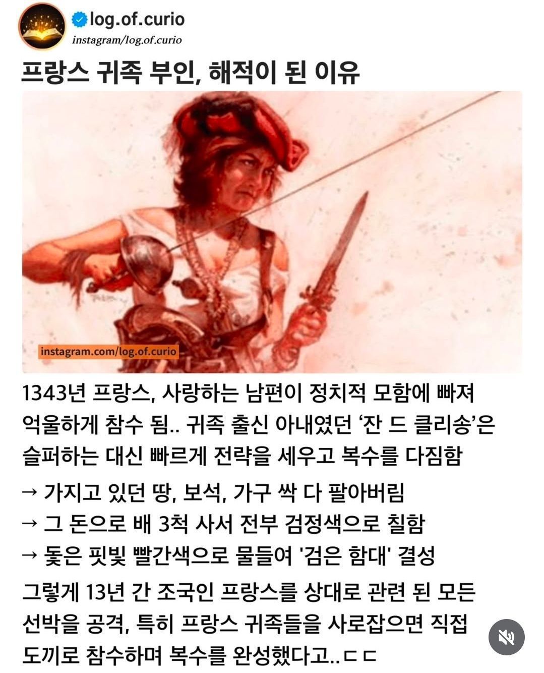남편을 위해 해적이 된 아내.jpg | 인스티즈