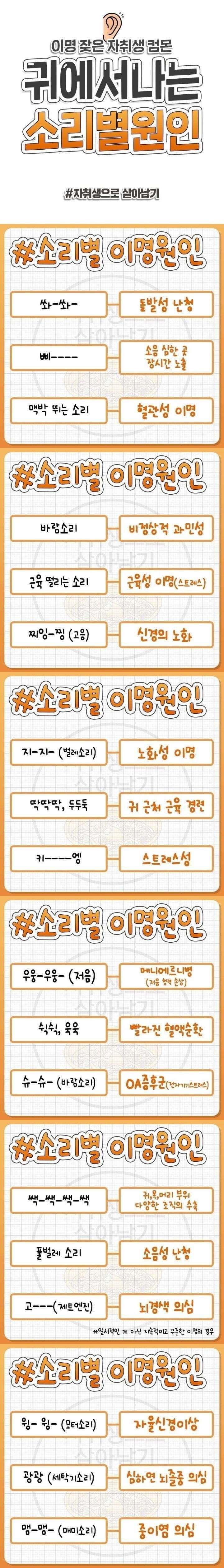 소리별 이명 원인 | 인스티즈