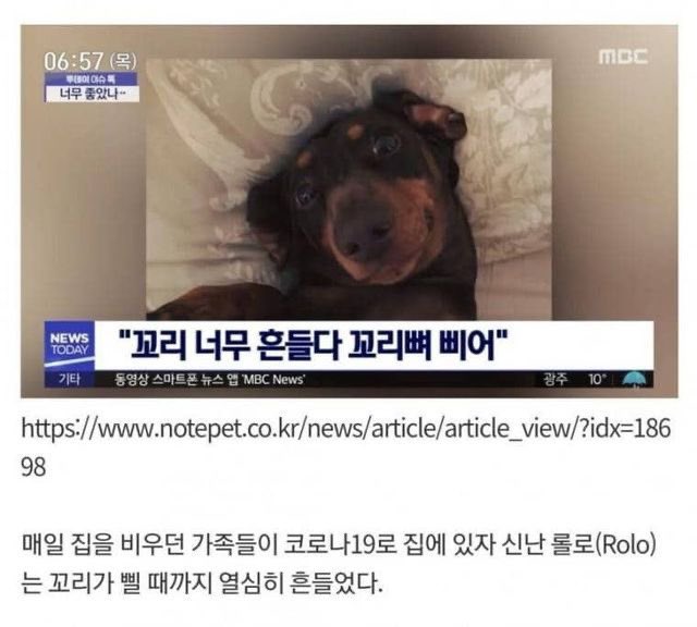 너무 좋아한 나머지 | 인스티즈