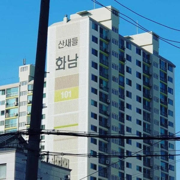 산에서 함부로 야호라고 외치면 안 되는 이유 | 인스티즈