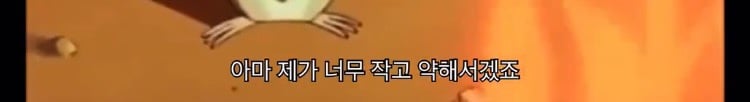 자아가 강한 여자가 남자에게 사랑 받으려고 할 때, 인생이 망가진다.twt | 인스티즈