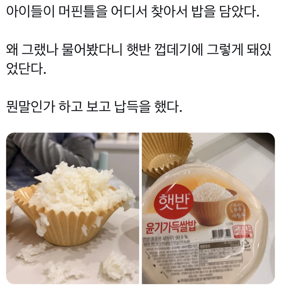 아이들이 머핀틀에 밥을 담은 이유.jpg | 인스티즈