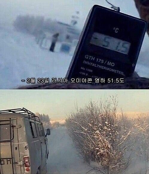 러시아 사람이 느끼는 추위 수준 | 인스티즈