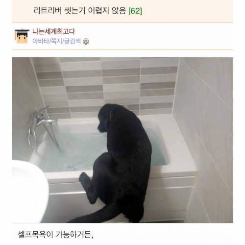 리트리버 씻기는거 어렵지 않음 | 인스티즈