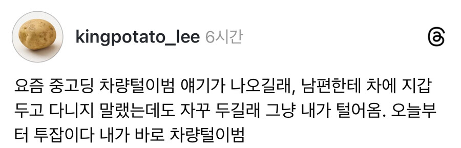 차량털이 아내 | 인스티즈