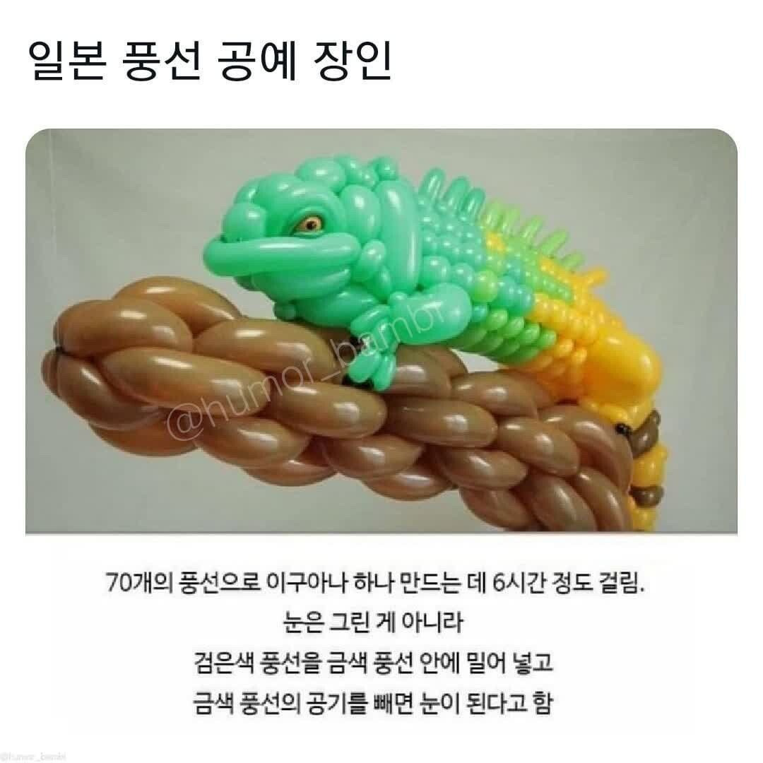 일본의 풍선 공예 장인 | 인스티즈