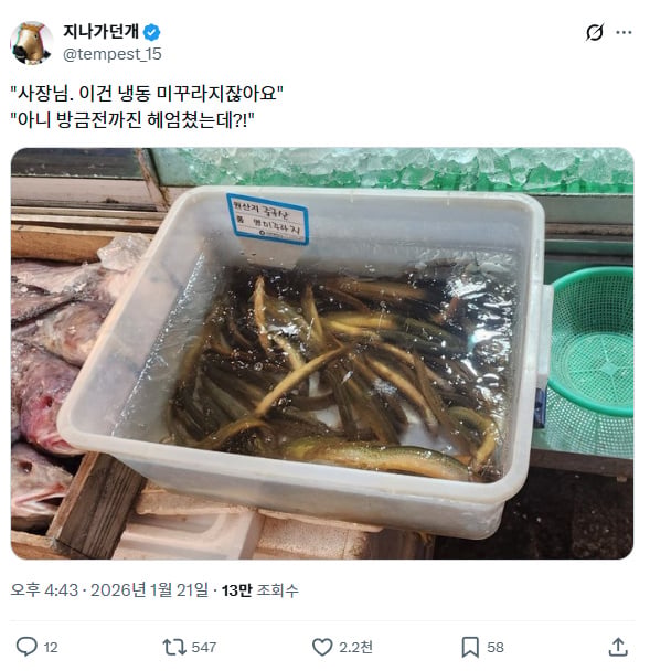 이거 냉동 미꾸라지인가요? | 인스티즈