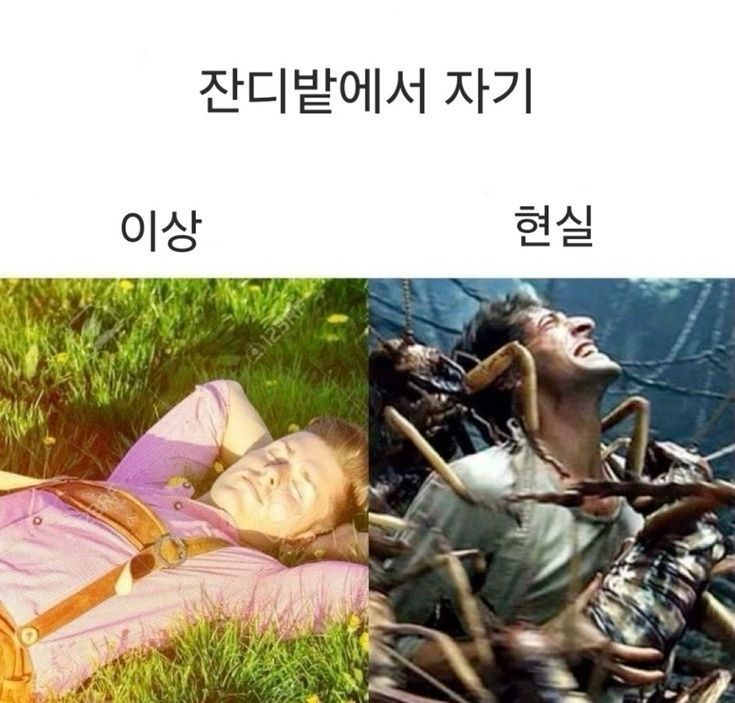 잔디밭에서 자기 이상과 현실 | 인스티즈