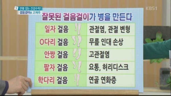 인간이 이족보행을 하기에 굉장히 비합리적인 증거 | 인스티즈