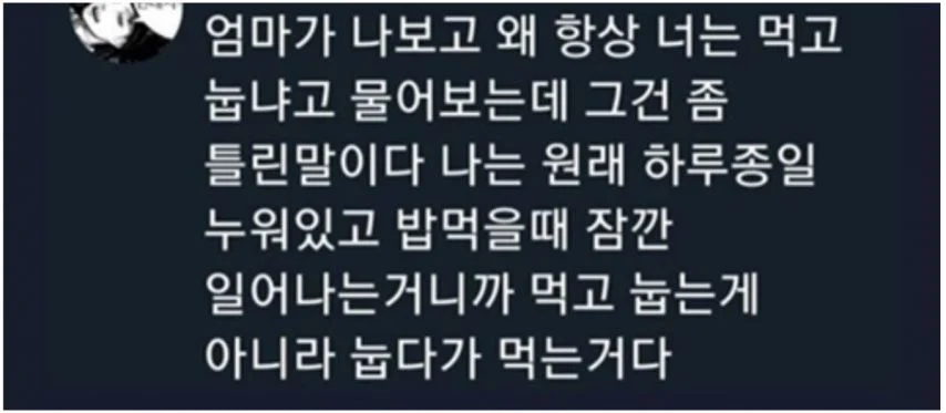 먹고 바로 눕는 사람들 공감 | 인스티즈