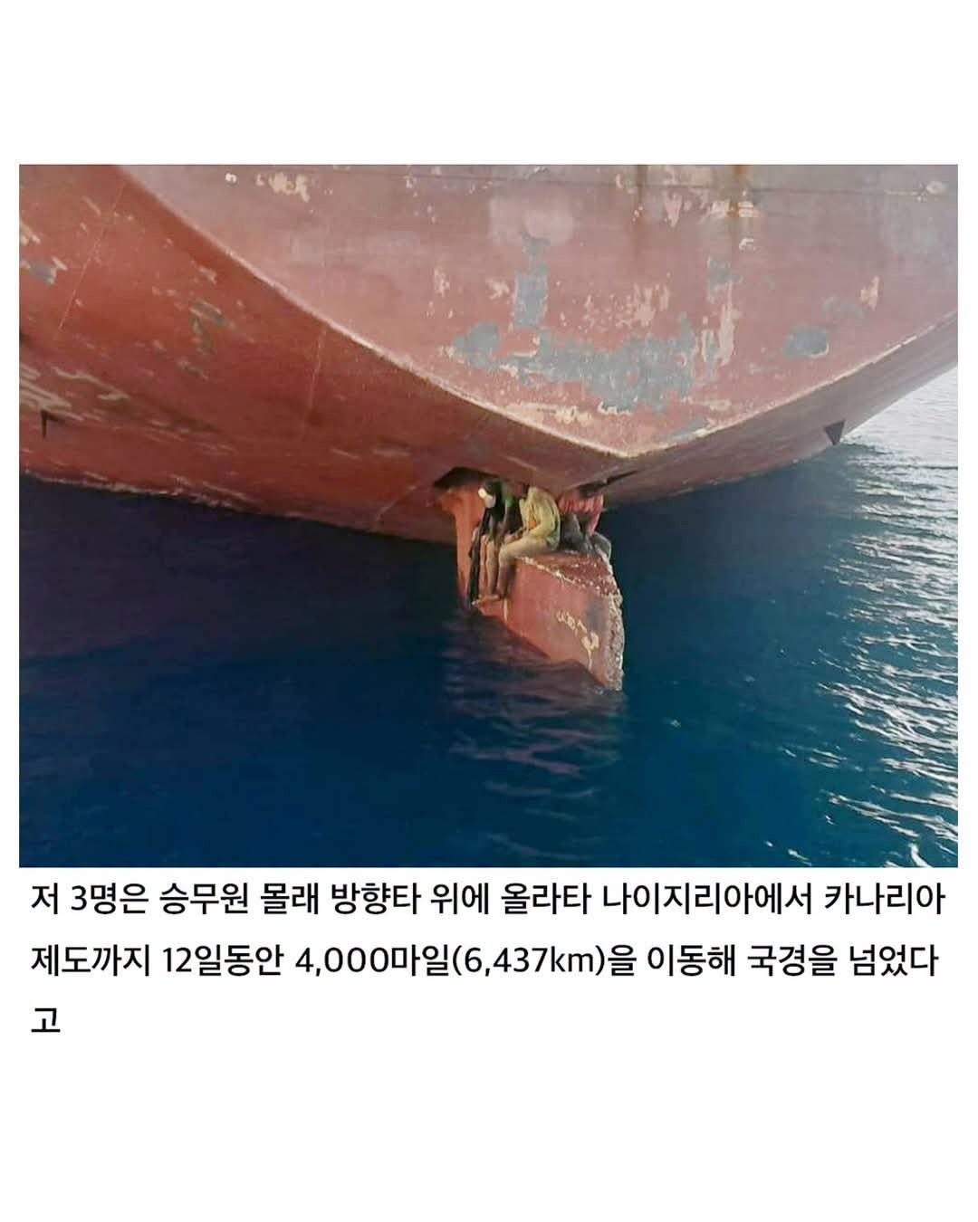 생각지도 못한 방법으로 국경을 넘은 밀항자 | 인스티즈