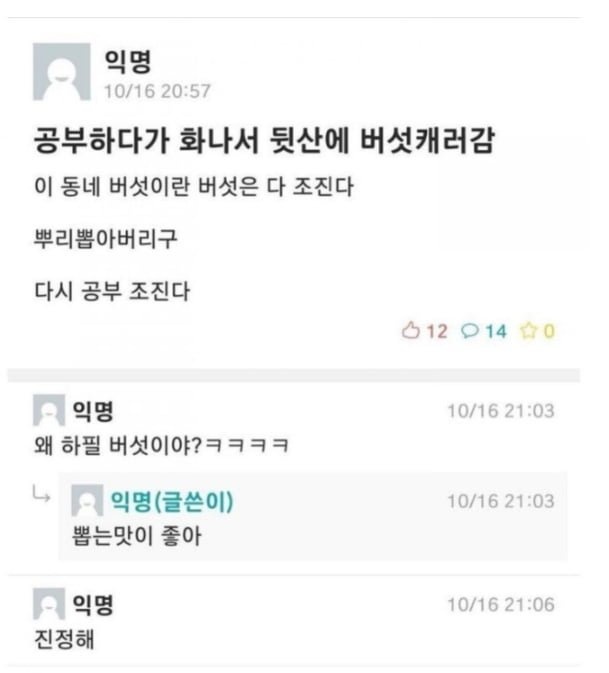 공부하다 화나서 뒷산에 버섯 캐러 감 | 인스티즈