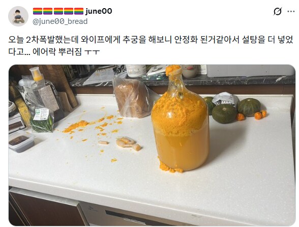 귤로 술을 만들어보겠다는 아내 | 인스티즈