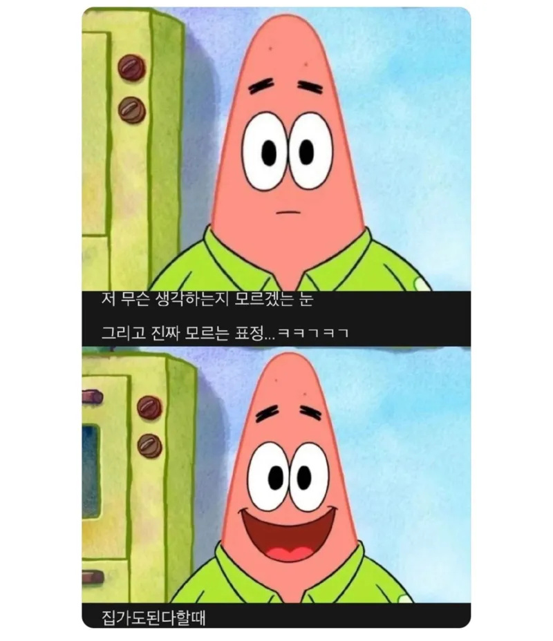 이거 우리 신입 닮음ㅋㅋㅋ | 인스티즈