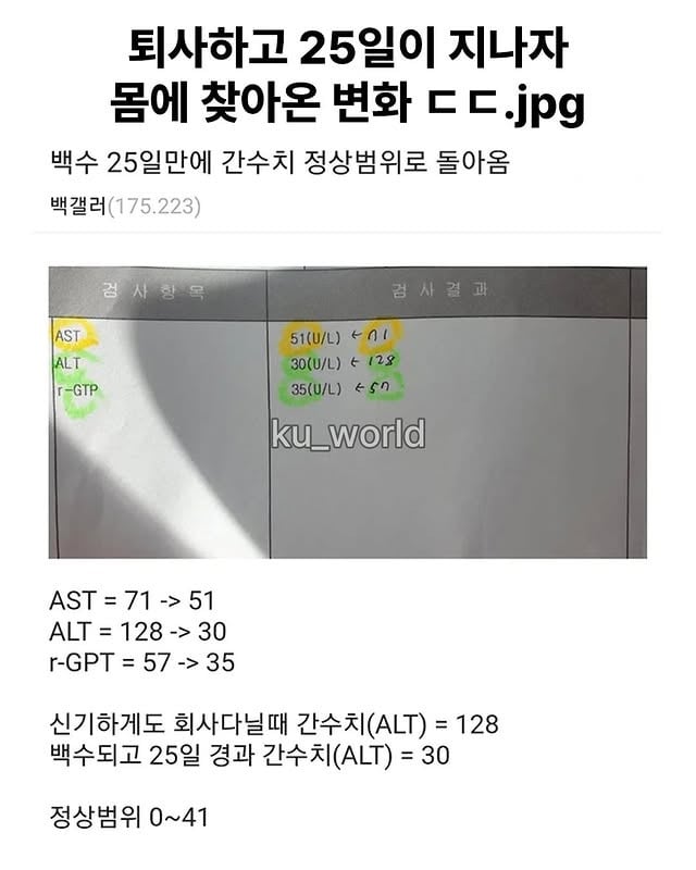 퇴사하고 25일 만에 몸에 찾아온 변화 | 인스티즈