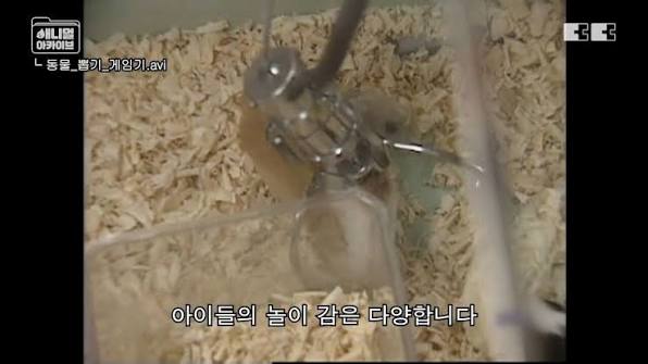 중장년층이 즐겼다는 뽑기 기계 | 인스티즈