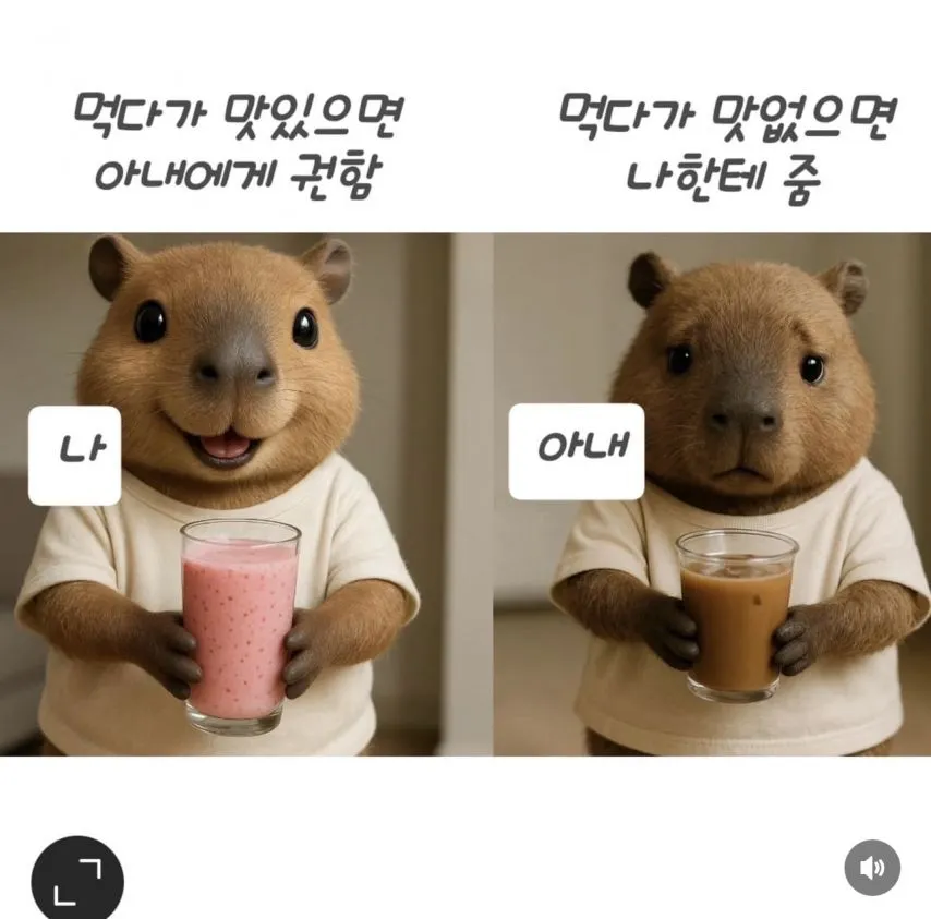 남편과 아내의 차이 | 인스티즈