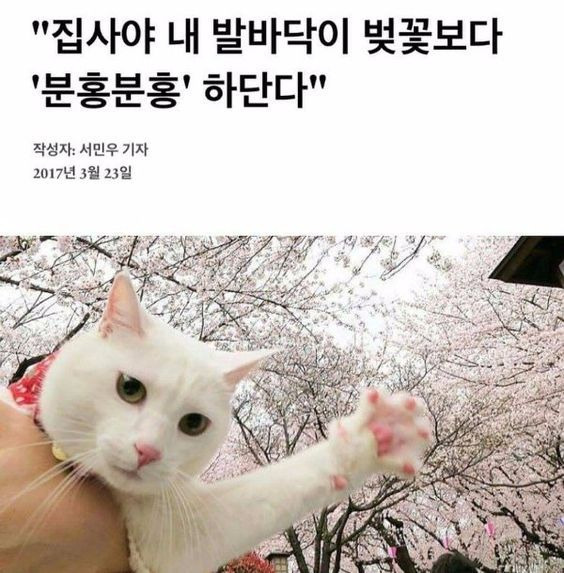나중에 나처럼 우락부락해지면 누가 귀여워 해 줄거 같냐? | 인스티즈