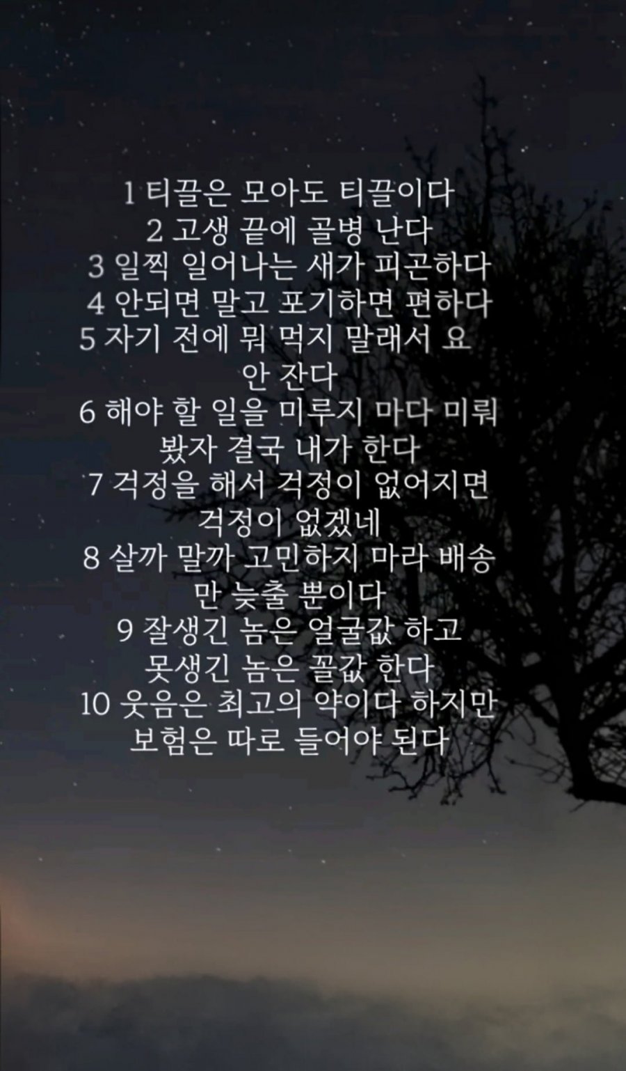 웃음터지는 웃긴 명언 10가지 | 인스티즈