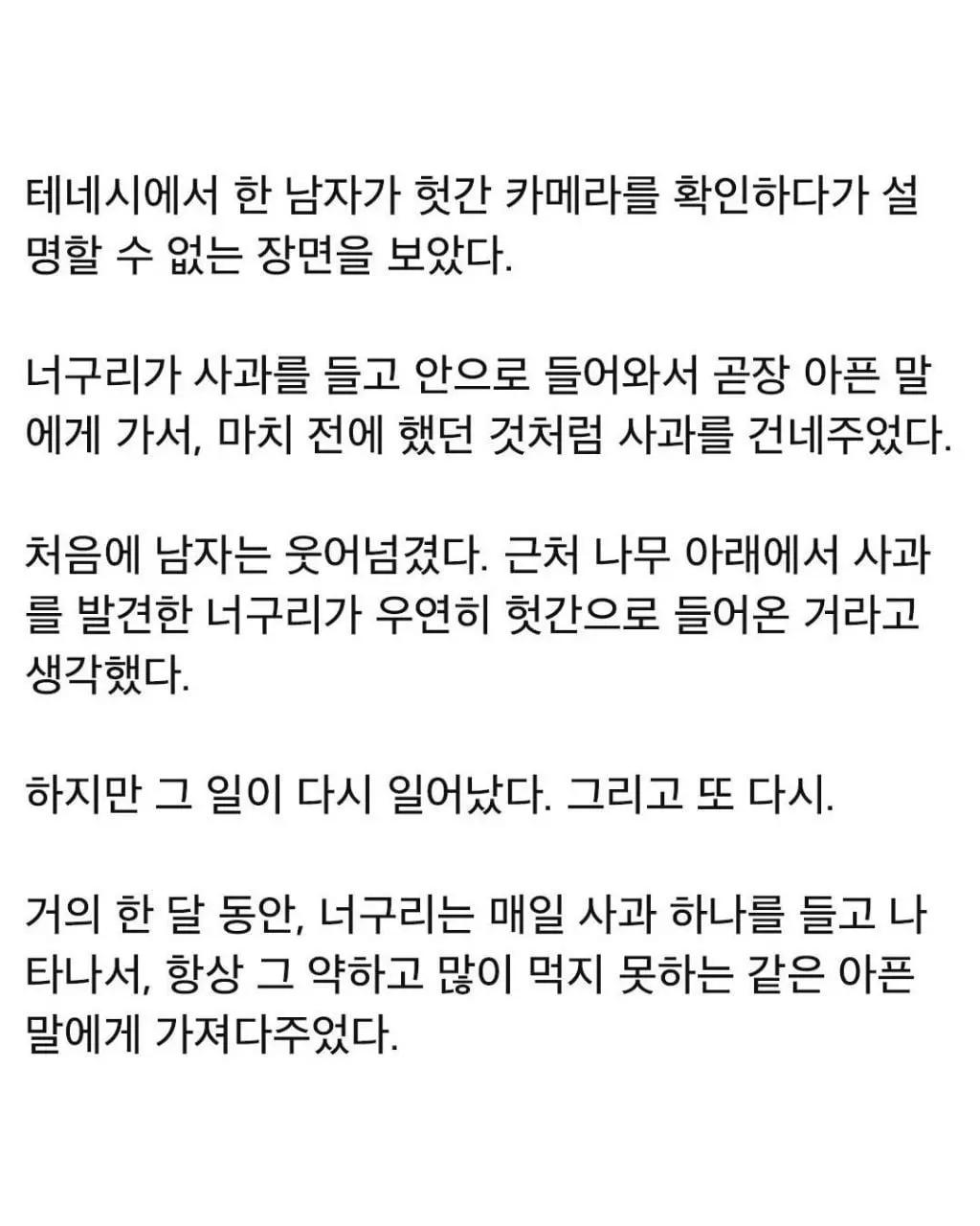 너구리가 매일 사과를 훔친 이유.jpg | 인스티즈