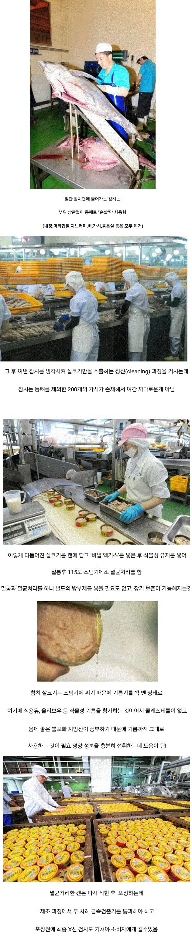 밥도둑 참치캔 제조 과정.jpg | 인스티즈