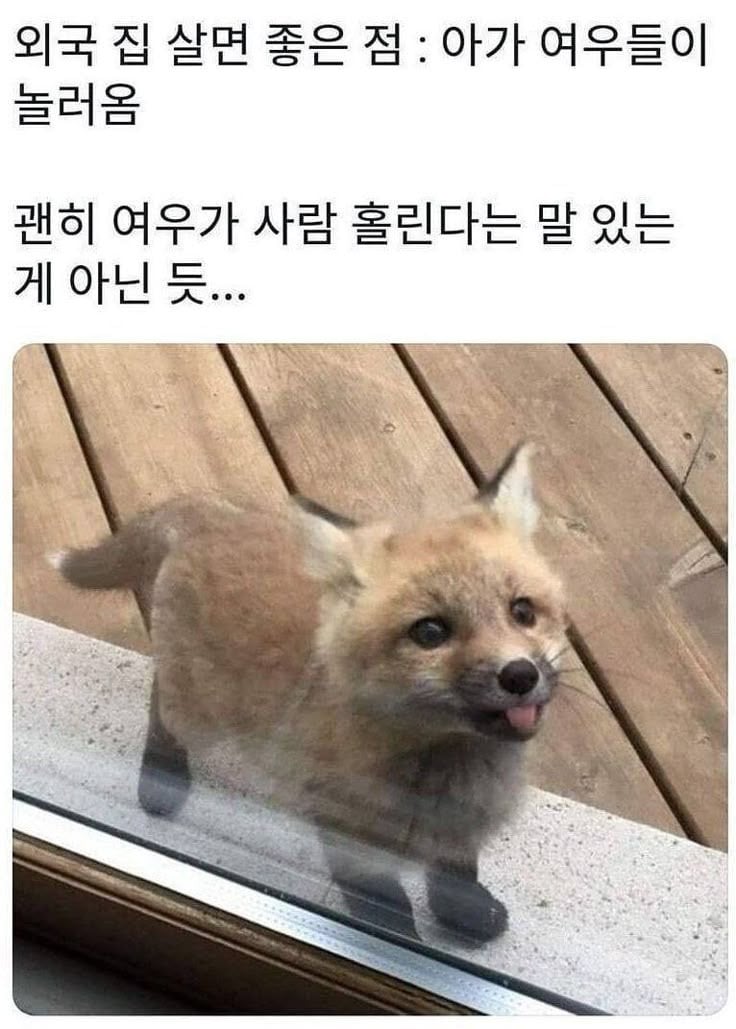 나중에 나처럼 우락부락해지면 누가 귀여워 해 줄거 같냐? | 인스티즈