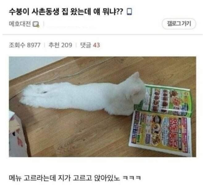 나중에 나처럼 우락부락해지면 누가 귀여워 해 줄거 같냐? | 인스티즈