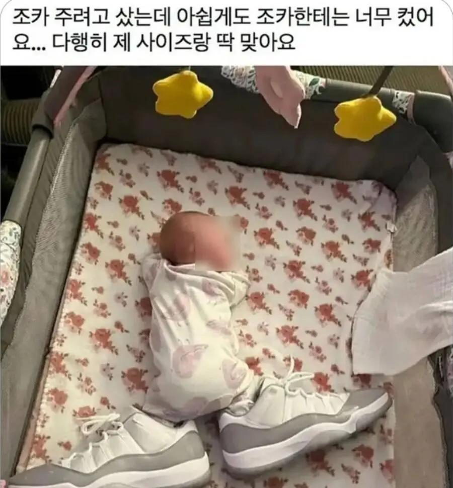 조카한테 비싼 신발 사준 삼촌 | 인스티즈