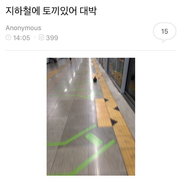 지하철에 토끼 있어 대박 | 인스티즈