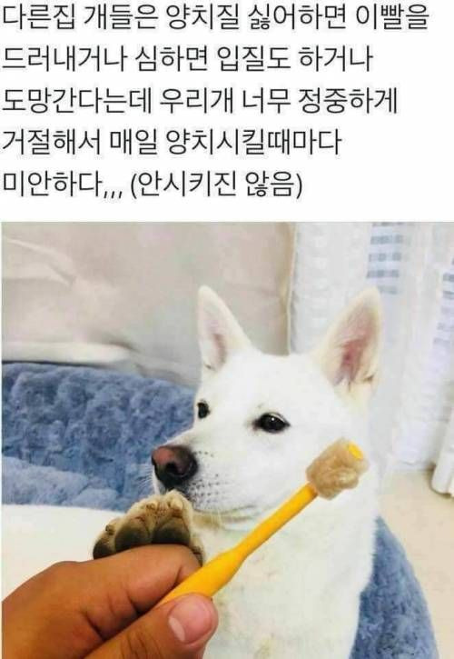 나중에 나처럼 우락부락해지면 누가 귀여워 해 줄거 같냐? | 인스티즈