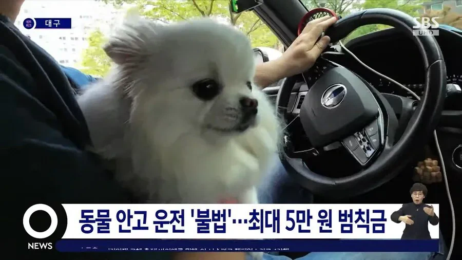 가끔씩 보이는 위험한 운전 | 인스티즈