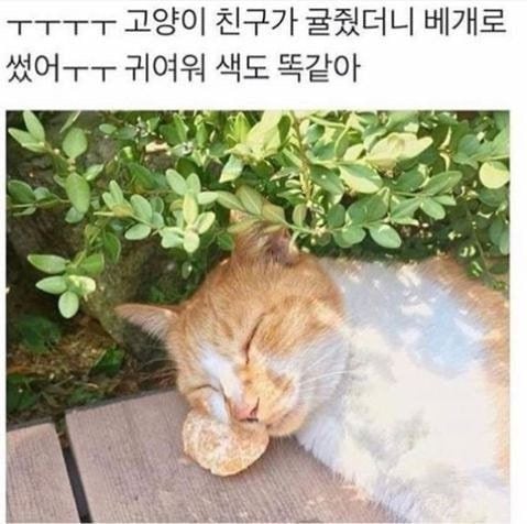 나중에 나처럼 우락부락해지면 누가 귀여워 해 줄거 같냐? | 인스티즈