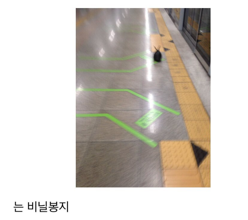 지하철에 토끼 있어 대박 | 인스티즈