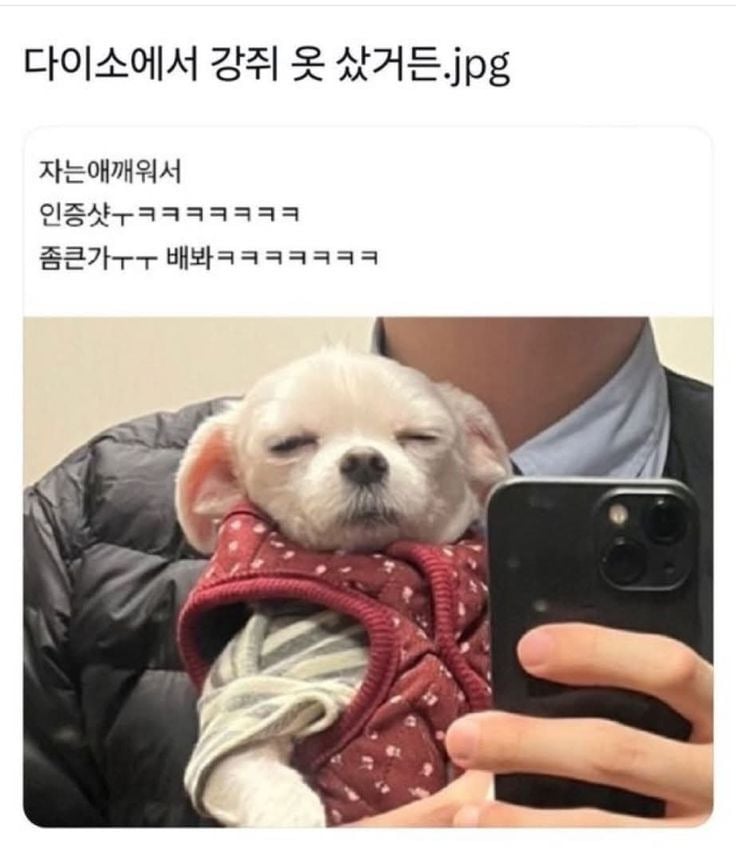 나중에 나처럼 우락부락해지면 누가 귀여워 해 줄거 같냐? | 인스티즈