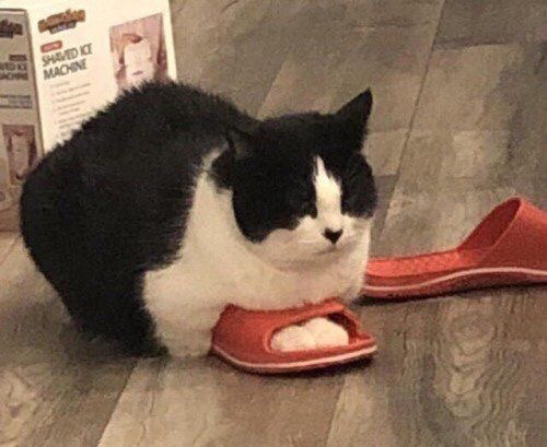 요정 : 888억을 8분안에 줄건데 | 인스티즈