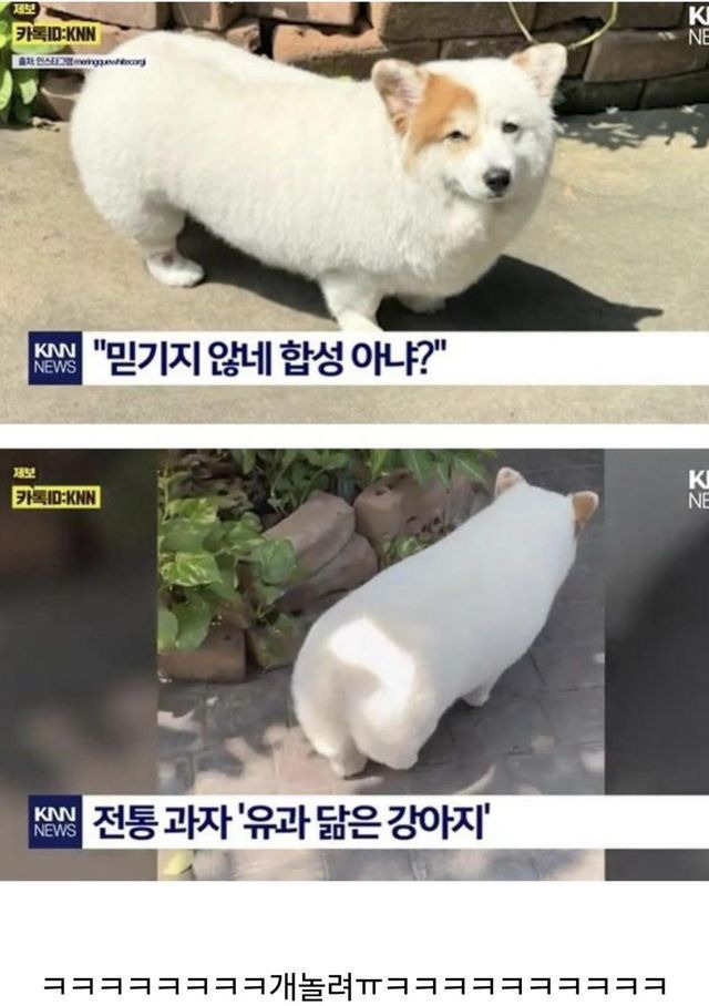 나중에 나처럼 우락부락해지면 누가 귀여워 해 줄거 같냐? | 인스티즈