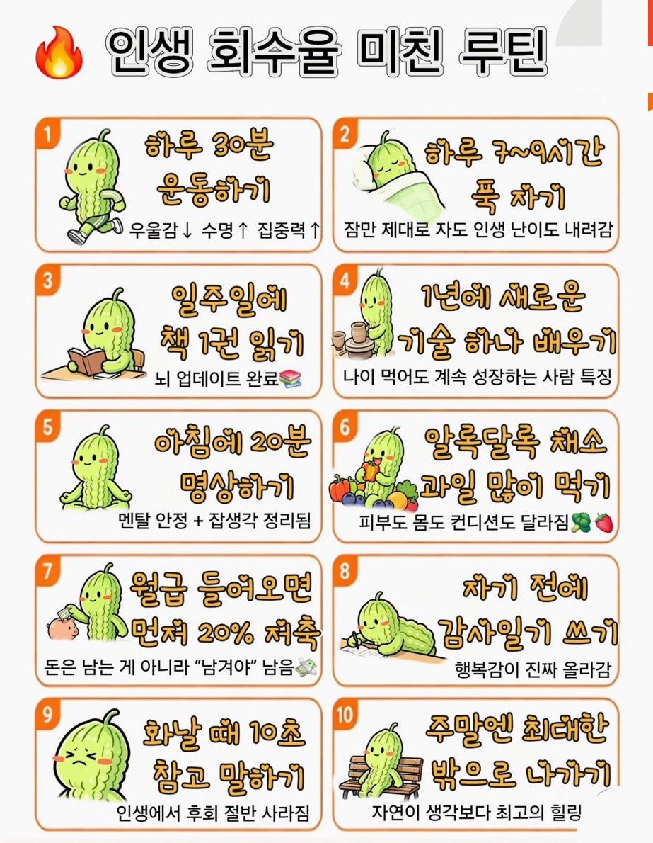 인생 회수율 미친 루틴 | 인스티즈