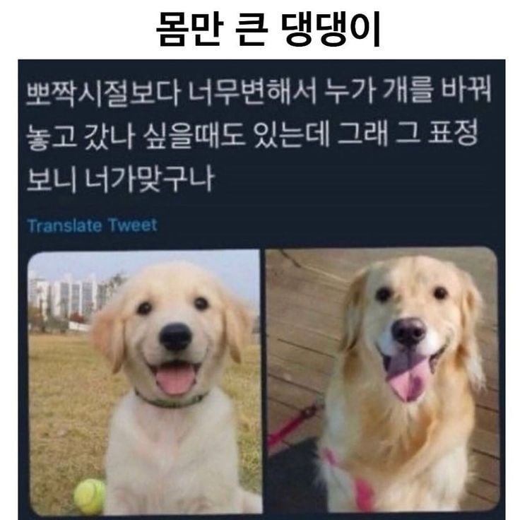 나중에 나처럼 우락부락해지면 누가 귀여워 해 줄거 같냐? | 인스티즈
