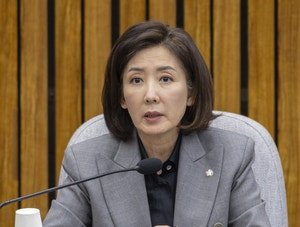 나경원 "내가 오세훈이면 당장 재선거 선언했을 것” | 인스티즈