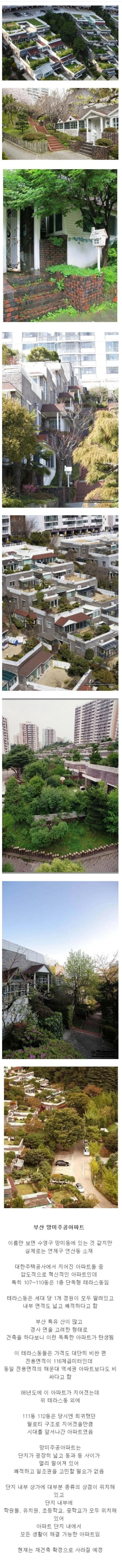 우리나라 아파트 중 가장 특이할 아파트.jpg | 인스티즈