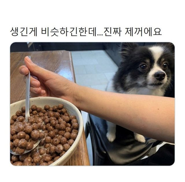 나중에 나처럼 우락부락해지면 누가 귀여워 해 줄거 같냐? | 인스티즈