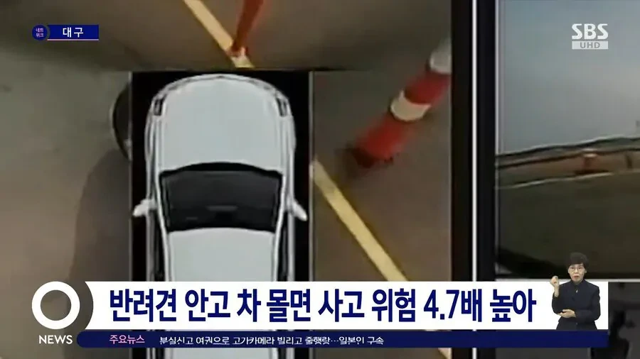 가끔씩 보이는 위험한 운전 | 인스티즈