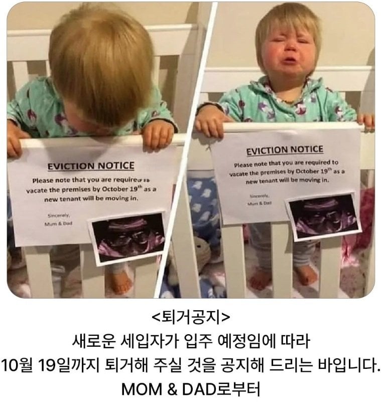 건물주에게 퇴거 조치 받은 입주민 | 인스티즈