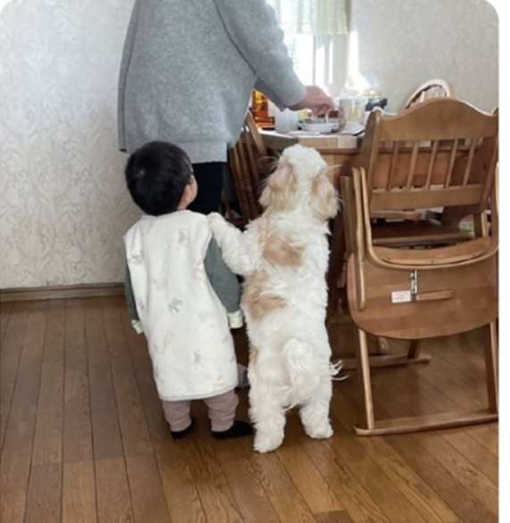 둘이 키 똑같은 거 댕웃김.jpg | 인스티즈